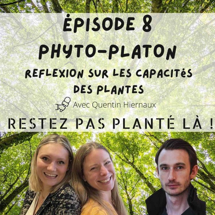 cover art for Phyto-platon, reflexion sur les capacités des plantes avec Quentin Hiernaux
