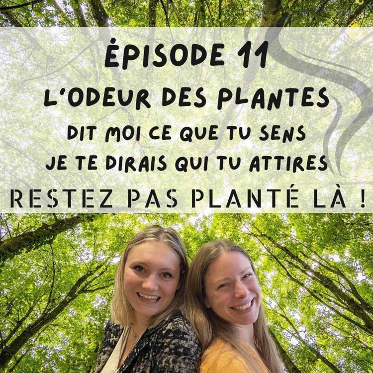 cover art for L'odeur des plantes dans leurs communications : dit moi ce que tu sens, je te dirais qui tu attires