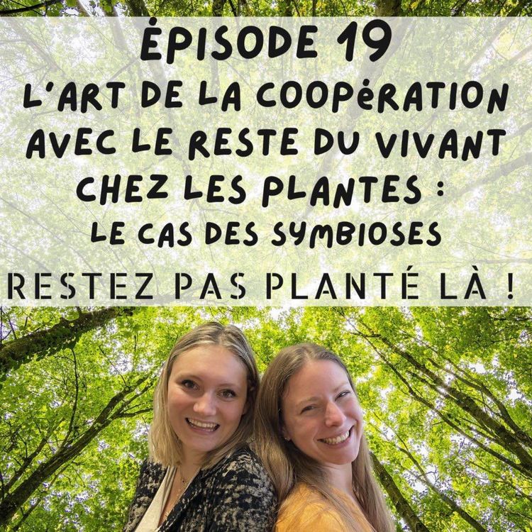 cover art for L’art de la coopération avec le reste du vivant chez les plantes : le cas des symbioses