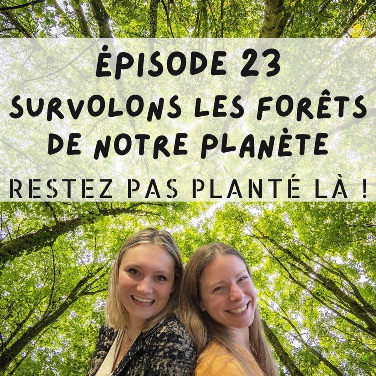 cover art for Survolons les forêts de notre planète