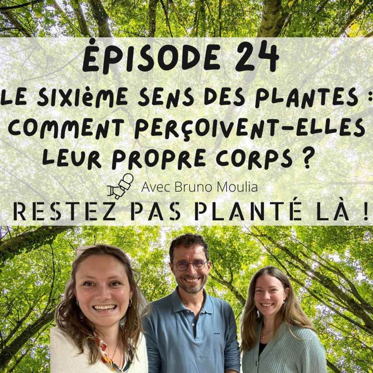 cover art for Le sixième sens des plantes : comment perçoivent-elles leur propre corps ? Avec Bruno Moulia