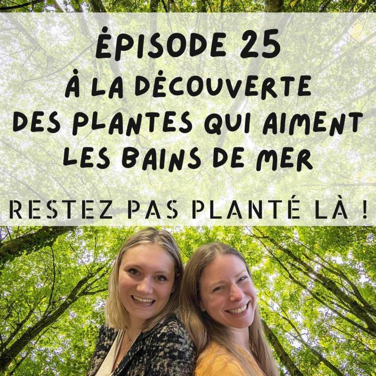 cover art for À la découverte des plantes qui aiment les bains de mer