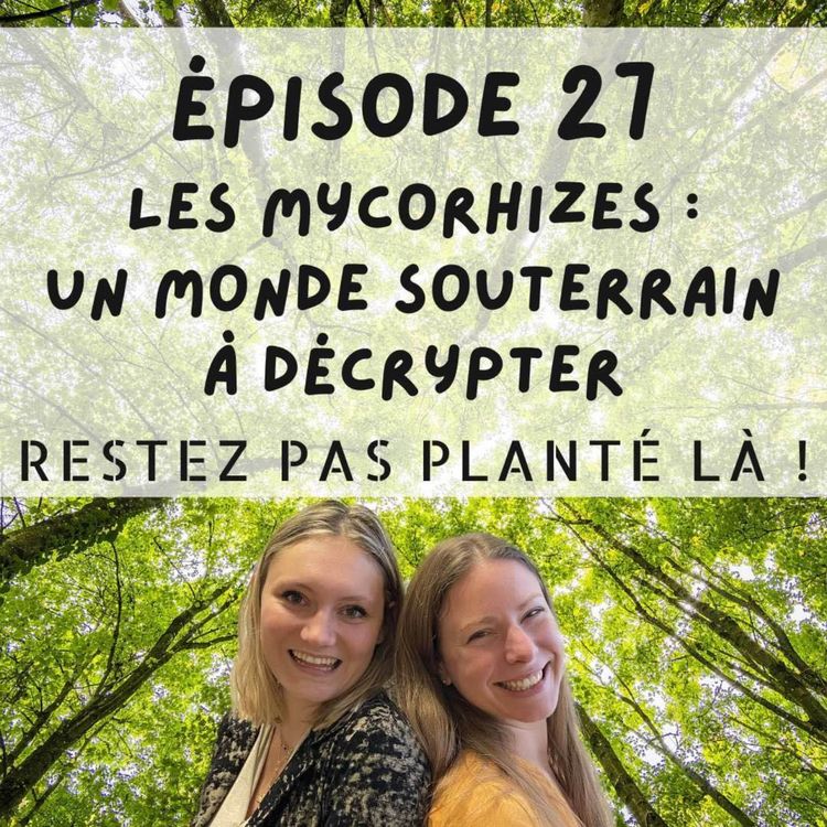 cover art for Les mycorhizes : un monde souterrain à décrypter