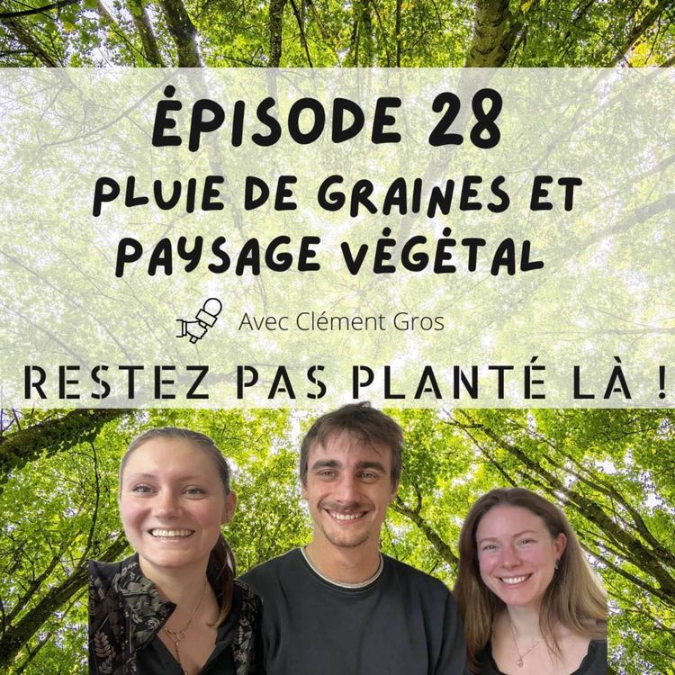 cover art for Pluie de graines et paysage végétal avec Clément Gros