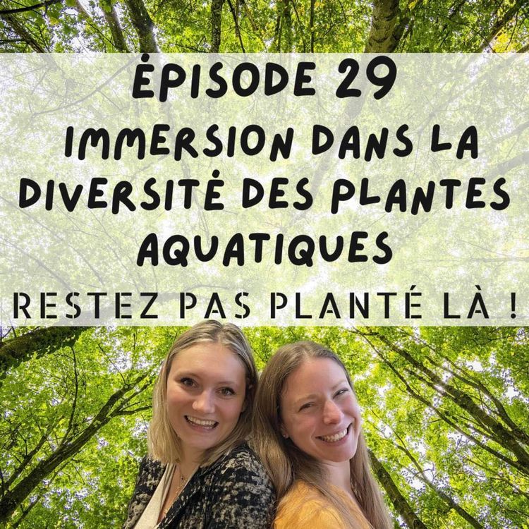 cover art for Immersion dans la diversité des plantes aquatiques