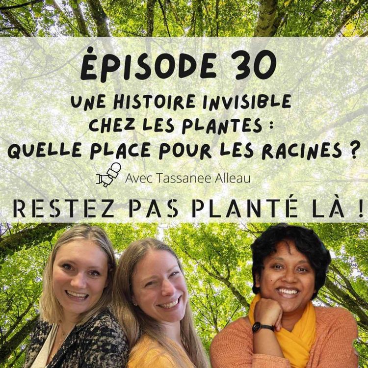 cover art for Une histoire invisible chez les plantes : quelle place pour les racines ? Avec Tassanee Alleau