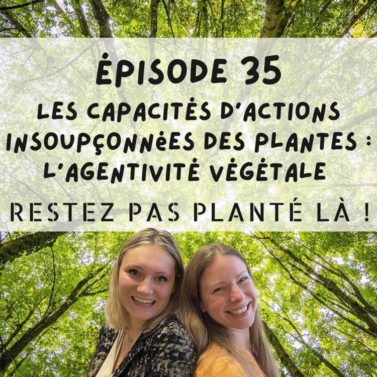 cover art for Les capacités d’actions insoupçonnées des plantes : l’agentivité végétale