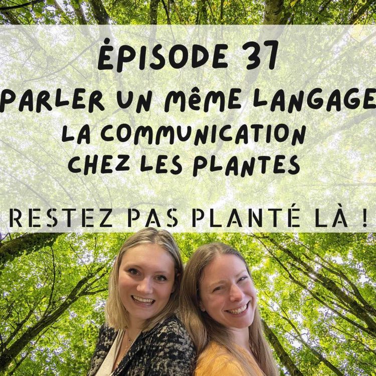 cover art for Parler un même langage, la communication chez les plantes