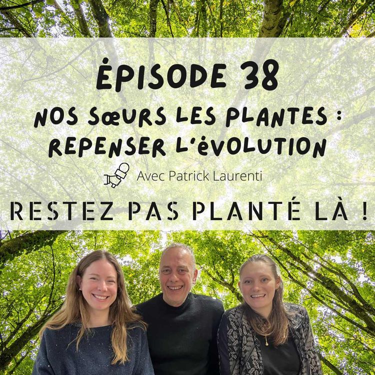 cover art for Nos sœurs les plantes : repenser l’évolution avec Patrick Laurenti