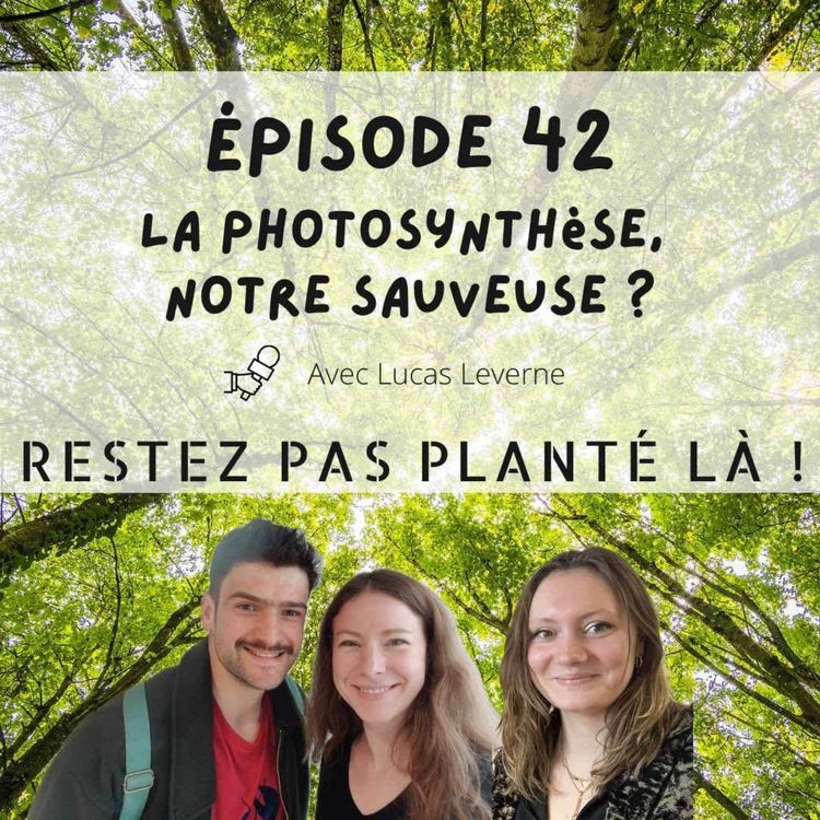 cover art for La photosynthèse, notre sauveuse ? avec Lucas Leverne