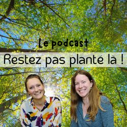 cover art for Restez pas planté là !