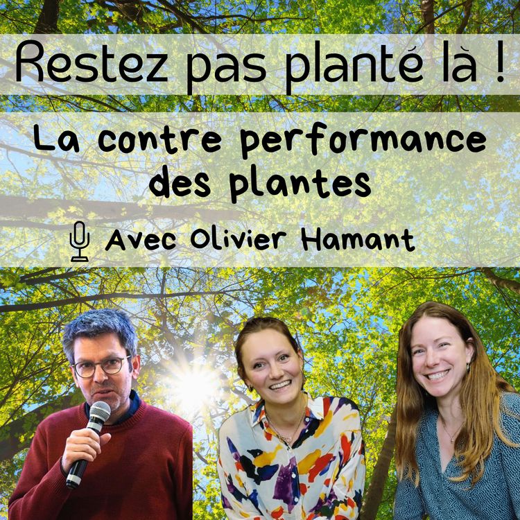 cover art for La contre performance des plantes avec Olivier Hamant