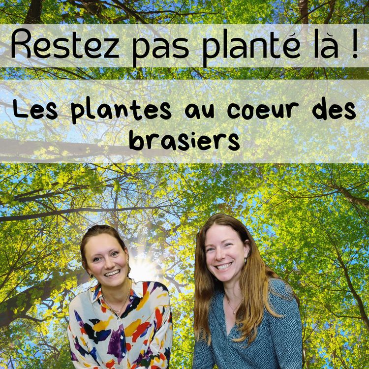 cover art for Les plantes au cœur des brasiers