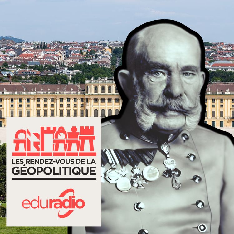 cover art for l'Autriche, une voie particulière en Europe ?