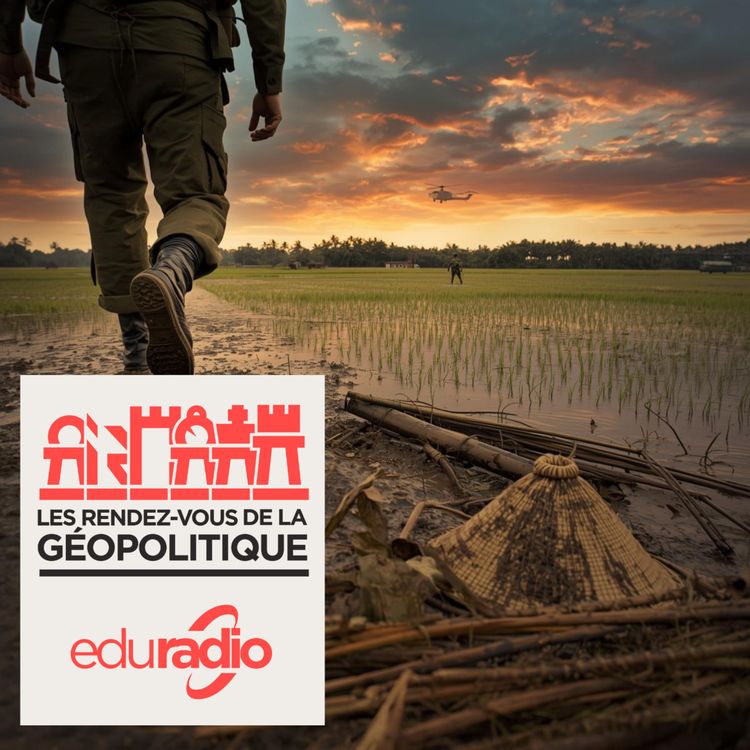 cover art for Guerre du Vietnam: Quels enseignements pour la guerre en Iran ?