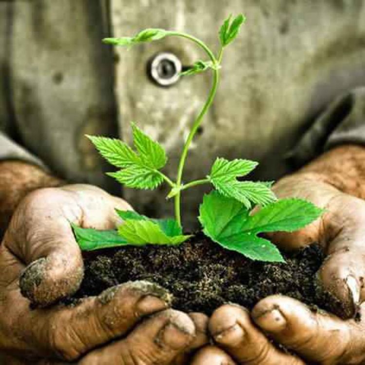 cover art for BE PRESENT