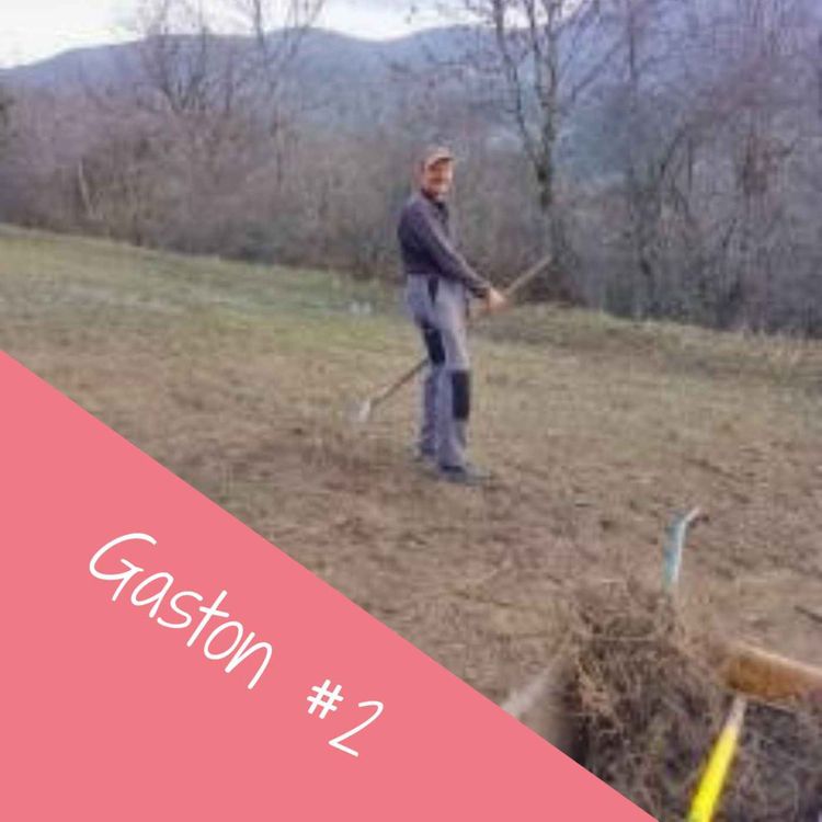 cover art for Gaston découvre l'équitation thérapeutique avec naïveté !