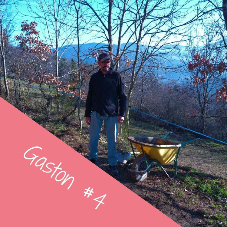 cover art for Gaston#4 La révolte paysanne 