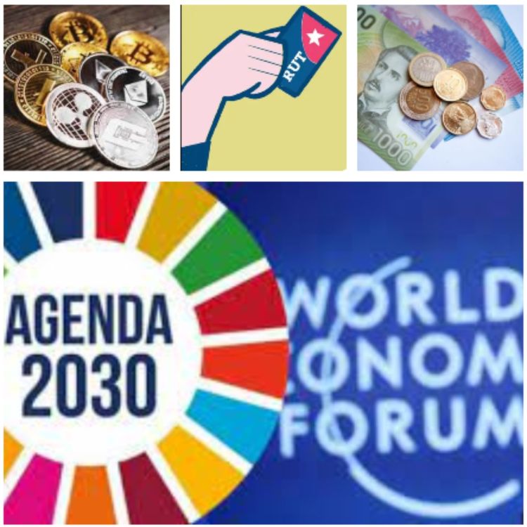 cover art for El Bolsillo Familiar Electrónico la nueva estafa del gran Hermano