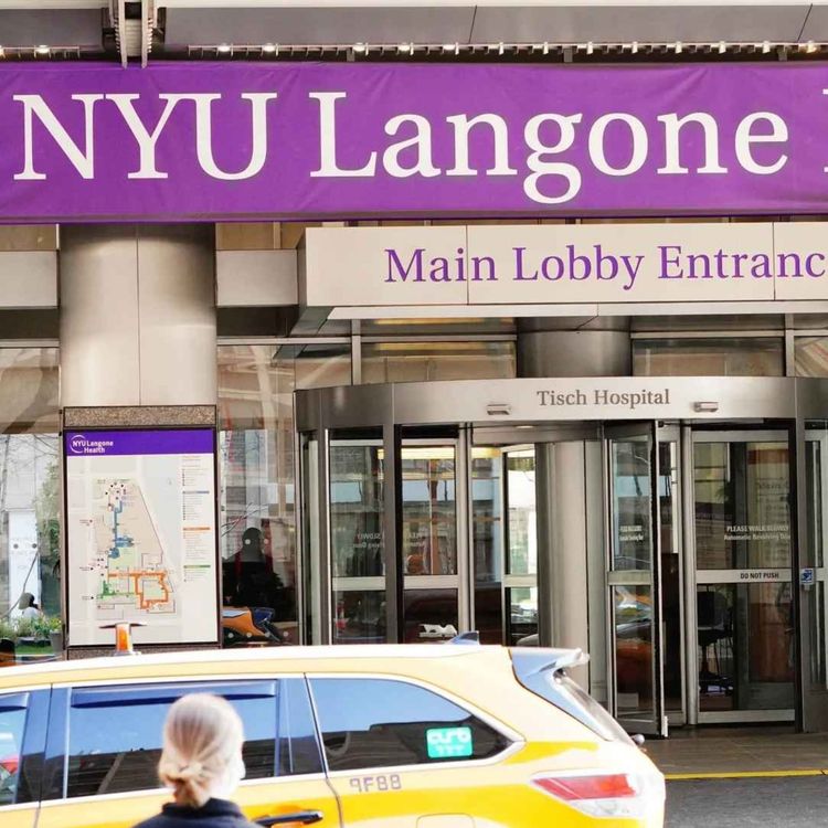 cover art for Trump's EOs Hit Trans and Immigrant New Yorkers