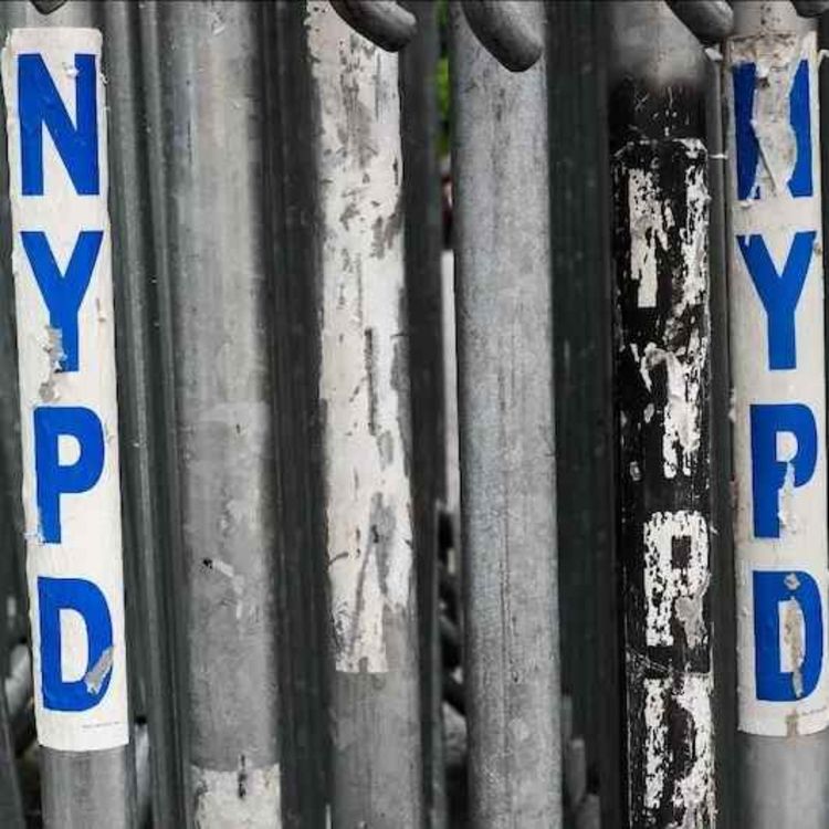 cover art for What's Wrong With the NYPD's Gang Database