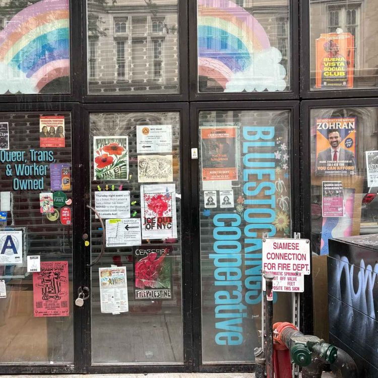 cover art for What Is Happening at Bluestockings?