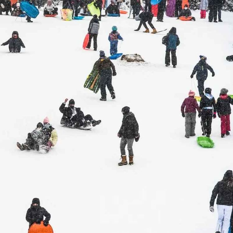 cover art for Zohran’s Snow Betrayal feat. Michael Lange