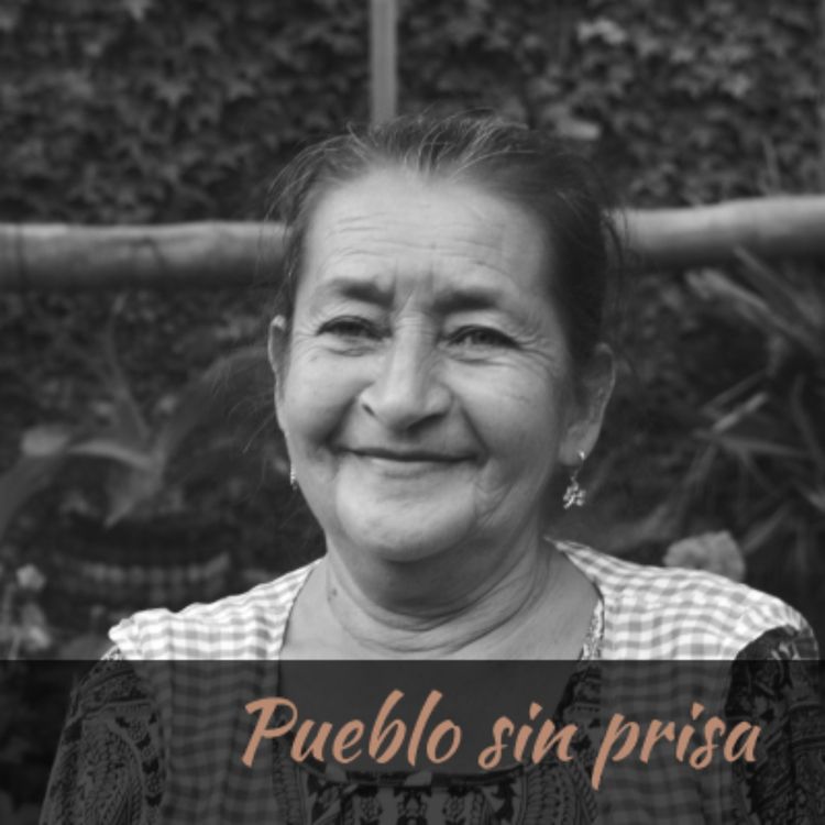 cover art for Curar con plantas