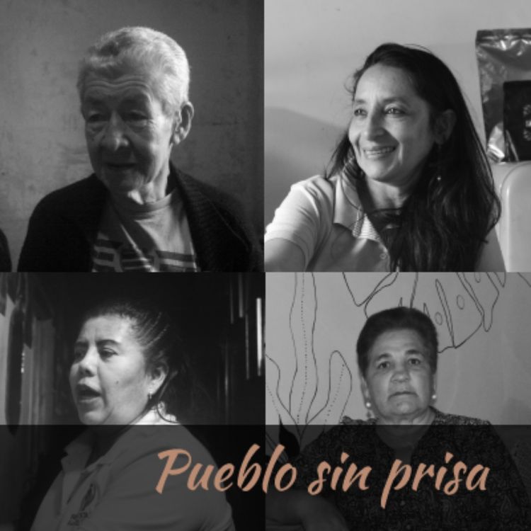 cover art for Servir para vivir