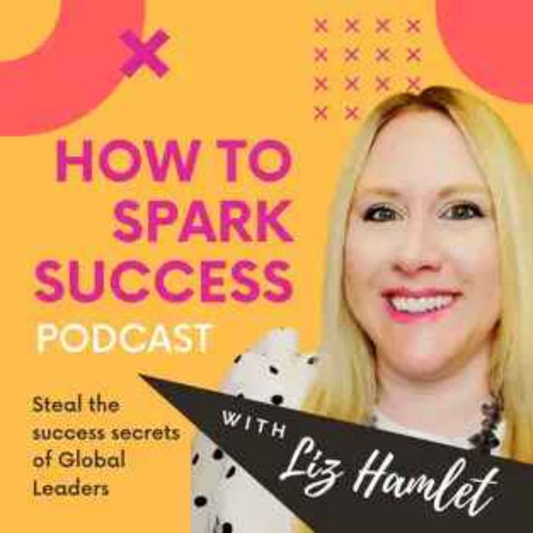 cover art for How to Spark Success