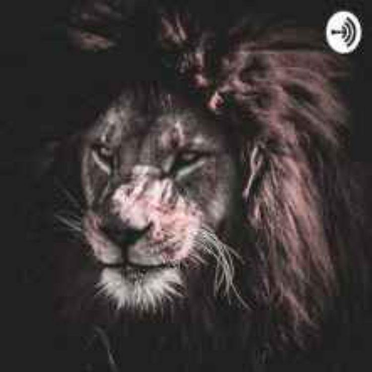 cover art for Reinvented