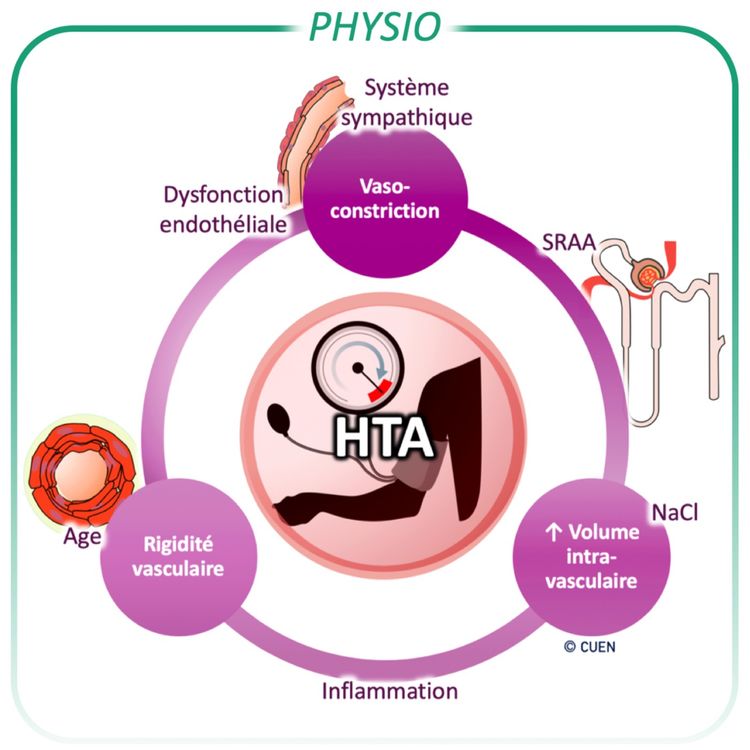 cover art for Physiopathologie de l'hypertension artérielle