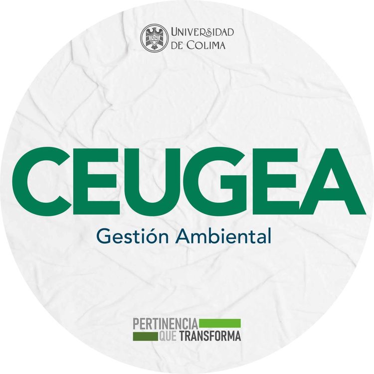 cover art for Plan de trabajo para 2024