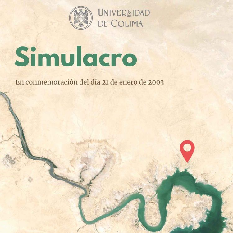 cover art for Simulacro 19 de enero.