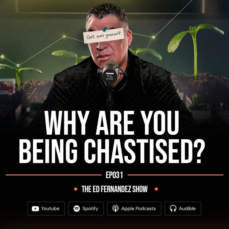 cover art for Why Are You Being Chastised?