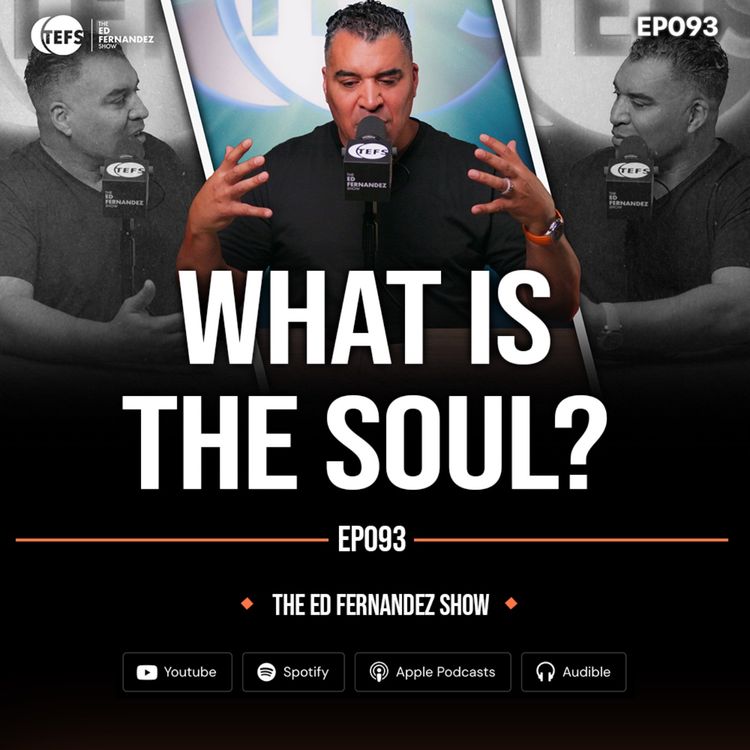 cover art for What Is The Soul?