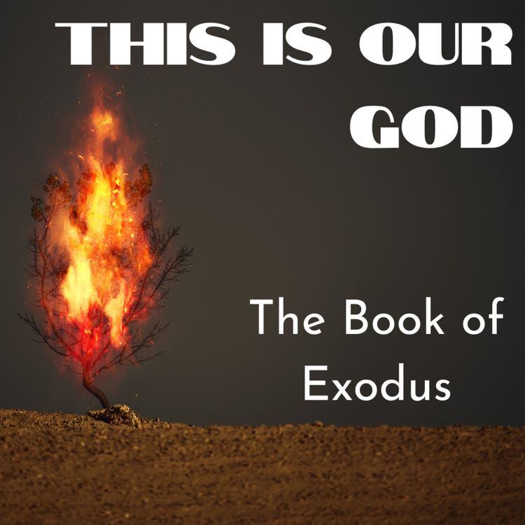 cover art for Exodus 11:1 - 12:39 (Roo Miller)