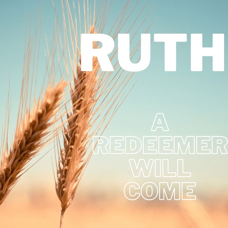 cover art for Ruth 4 (Roo Miller)
