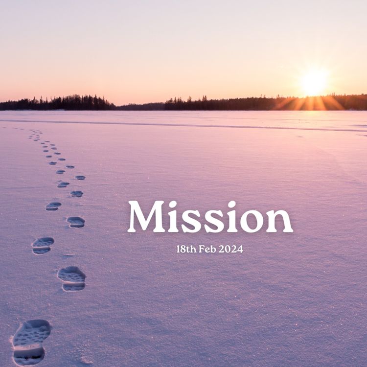 cover art for Mission (Steve Baraniak)