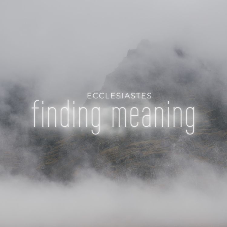 cover art for Finding Meaning in the Unpredictable (David Upton)