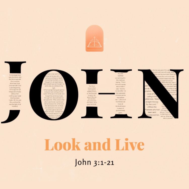 cover art for Look and Live (David Upton)