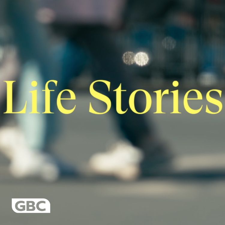 cover art for Zyna Llufrio