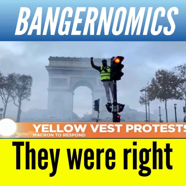 cover art for The Yellow Vests were right
