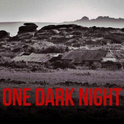 cover art for ONE DARK NIGHT