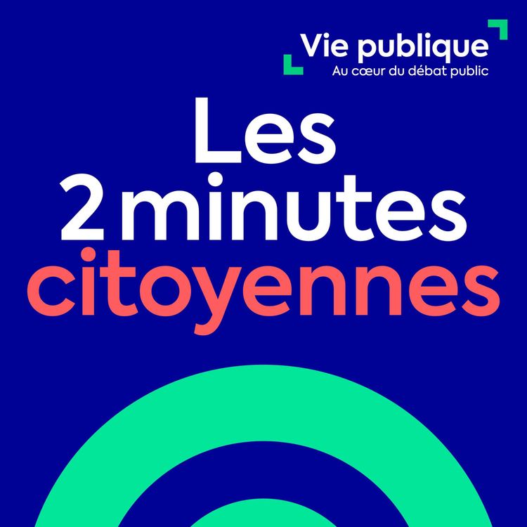 cover art for Comment se déroulent les élections législatives ?