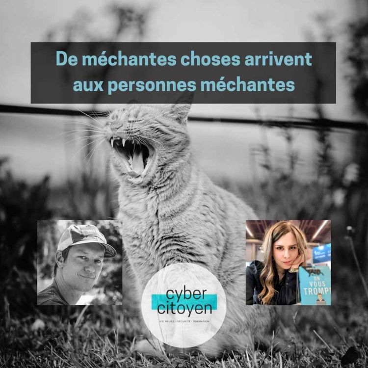cover art for De méchantes choses arrivent aux personnes méchantes
