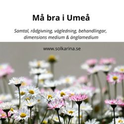 cover art for Må bra i Umeå