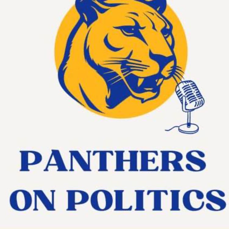 cover art for Panthers on Politics // Free the Facts