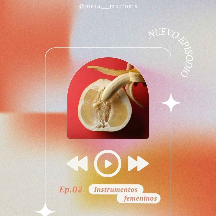 cover art for 002. El instrumento femenino