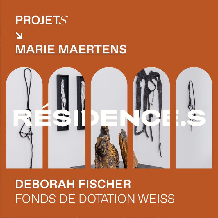 cover art for Résidence.s : Deborah Fischer